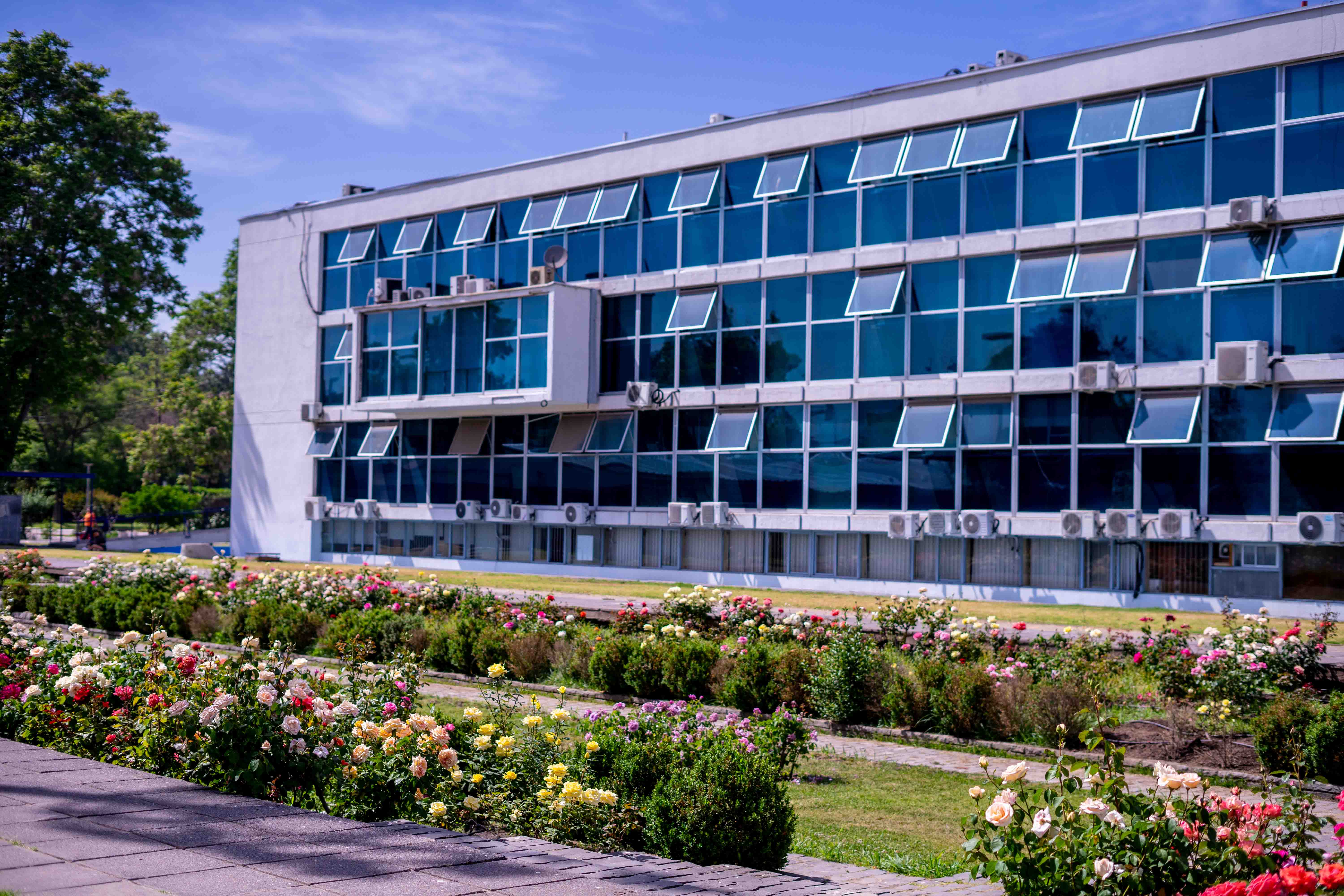 Universidad de santiago