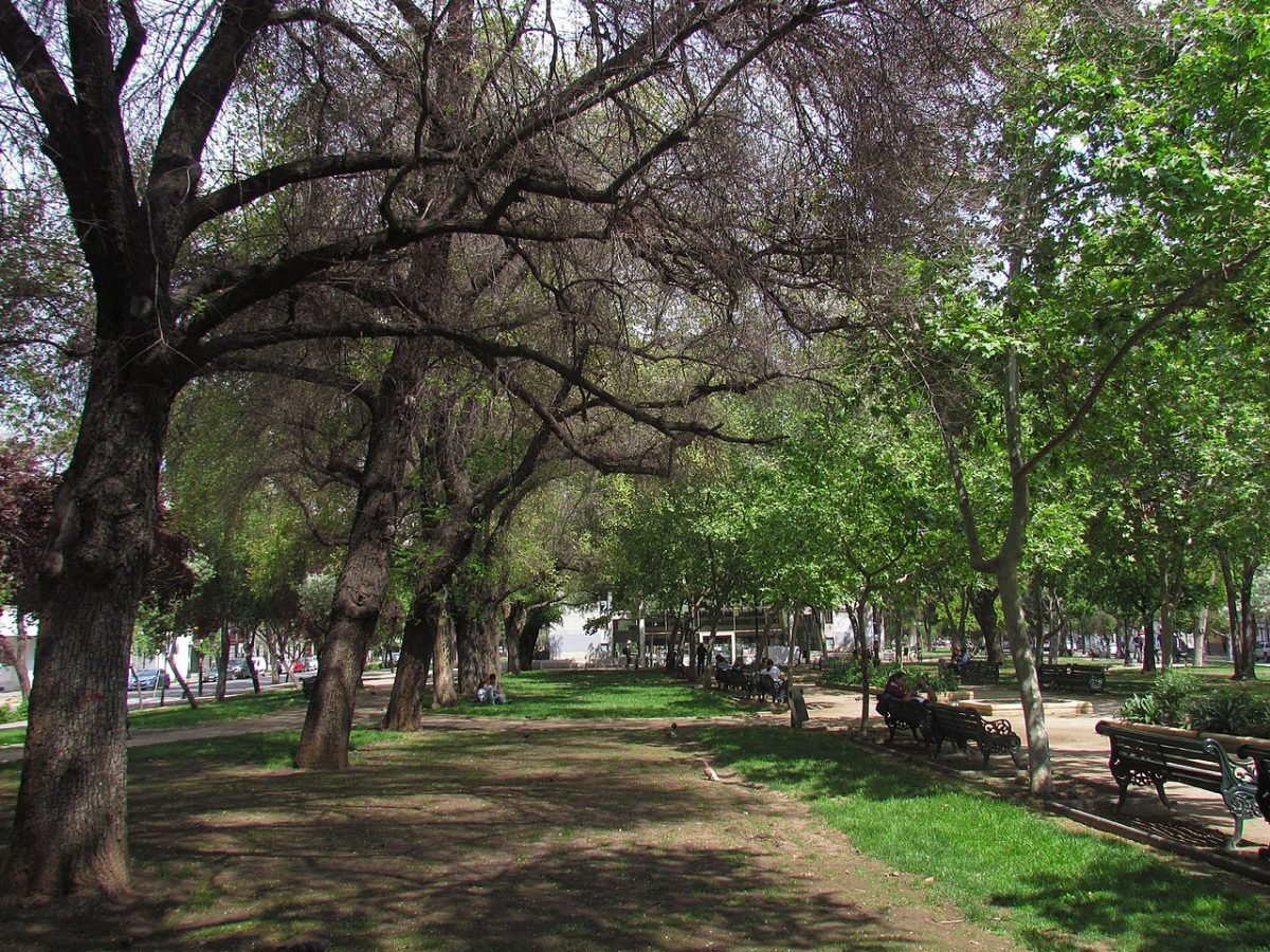 Parque Bustamante