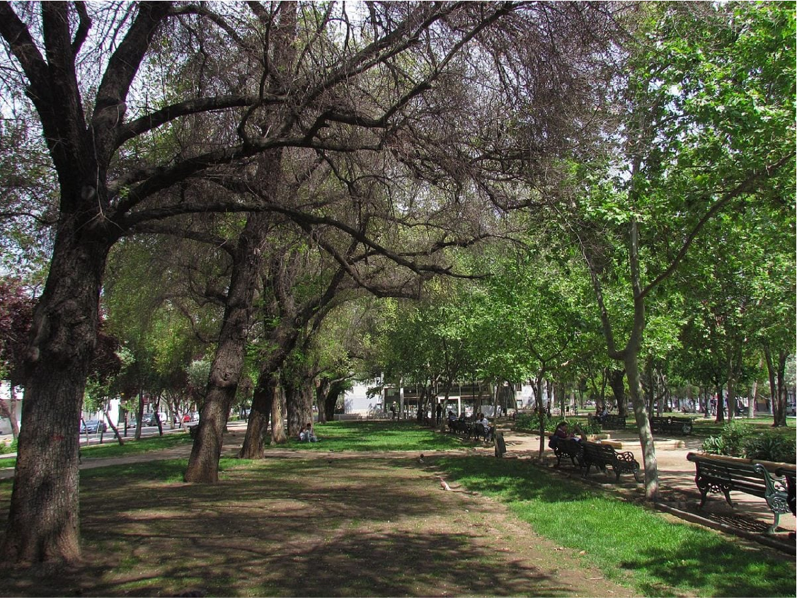 Parque Bustamante