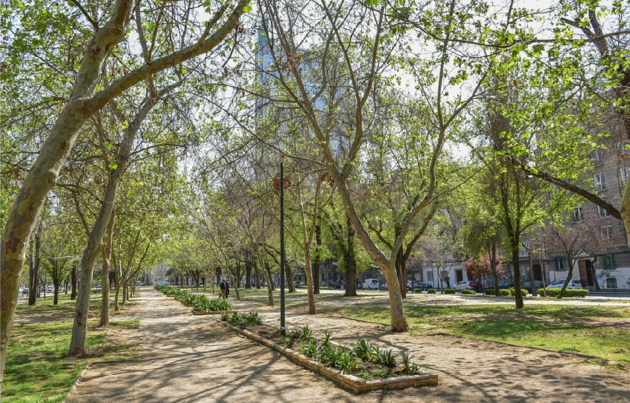 Parque Bustamante